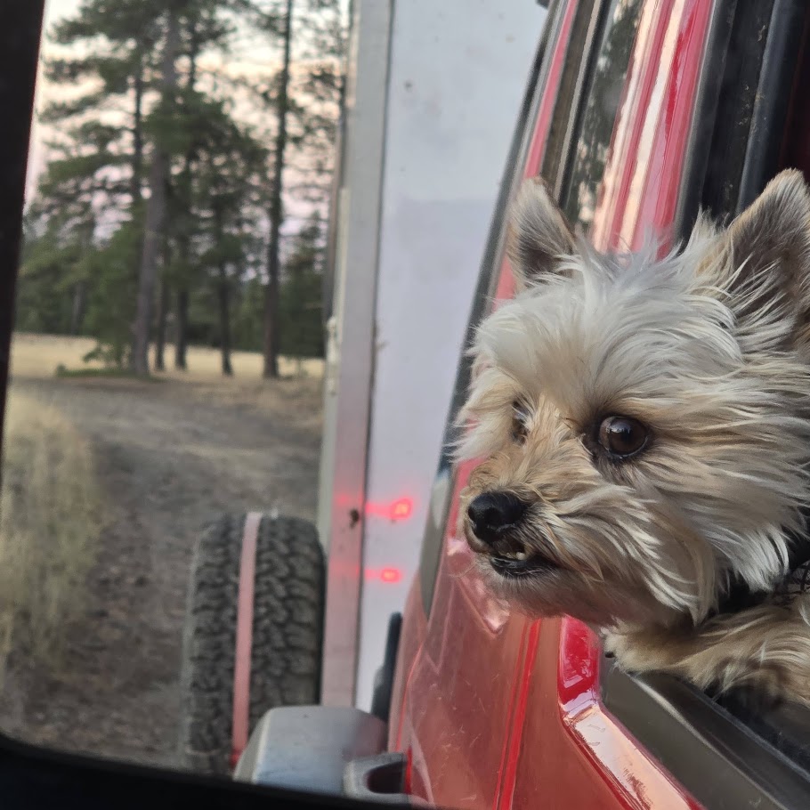 Beni Driving.jpg