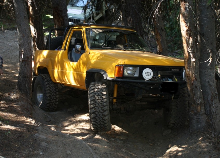 SPR (Vice President)